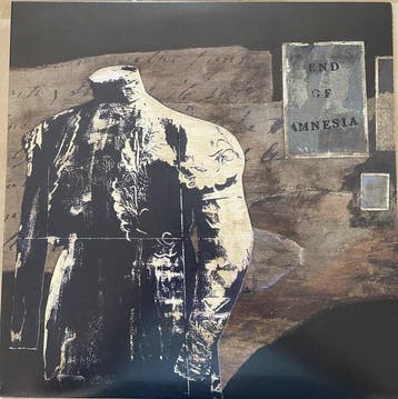 lp nieuw - M. Ward - End of Amnesia, Cd's en Dvd's, Vinyl | Overige Vinyl, Verzenden, Zo goed als nieuw, Overige formaten
