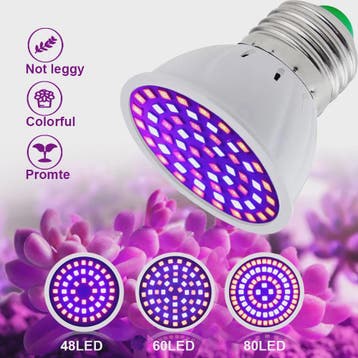 Full Spectrum LED Groeilamp E27 80 LEDs - Plantenlamp voor B, Verzenden, Nieuw
