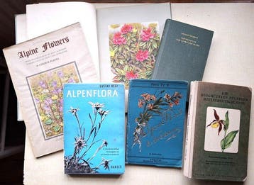 Carl Schroeter. Gustav Hegi (et al) - Alpine Flowers of