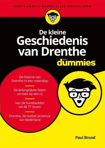 De kleine Geschiedenis van Drenthe voor Dummie 9789045355580, Boeken, Verzenden, Zo goed als nieuw