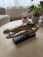 Jake Richmond - Saltwater Crocodile Skull 2.0 vervaardigd in