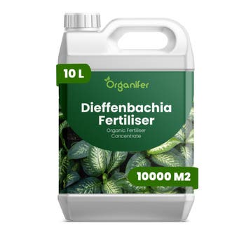 Dieffenbachia Vloeibare meststof - 10 liter, Verzenden, Mest