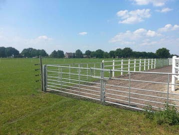 Weidepoorten verzinkt 1/5 mtr gegalvaniseerd, Dieren en Toebehoren, Ophalen of Verzenden, Nieuw