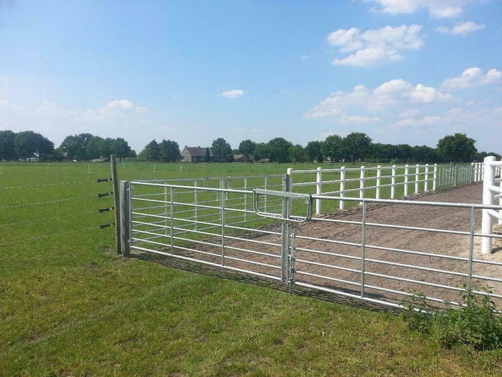 Weidepoorten verzinkt 1/5 mtr gegalvaniseerd, Dieren en Toebehoren, Paarden en Pony's | Overige Paardenspullen, Nieuw, Ophalen of Verzenden