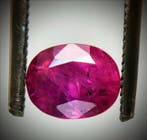 Roze Saffier - 1.96 ct - Lotus Gemology - Tadjikistan*, Nieuw