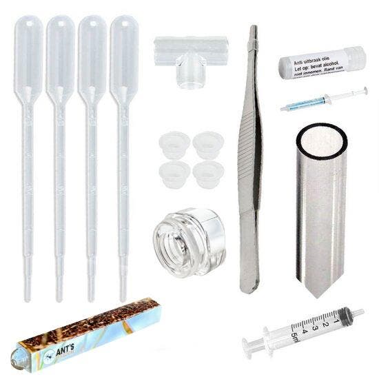 Ants Kingdom Toolkit, Dieren en Toebehoren, Insecten en Spinnen