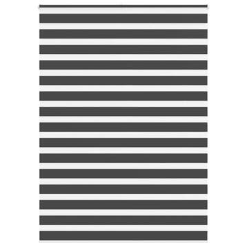 vidaXL Zebra rolgordijn 165x200 cm stofbreedte 160,9 cm, Verzenden, Nieuw, Zwart