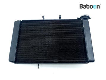 Radiateur Triumph Tiger 800 XC 2011-2014, Verzenden, Gebruikt