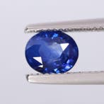 1 pcs Blauw Saffier - 1.68 ct - nternational Colored, Nieuw