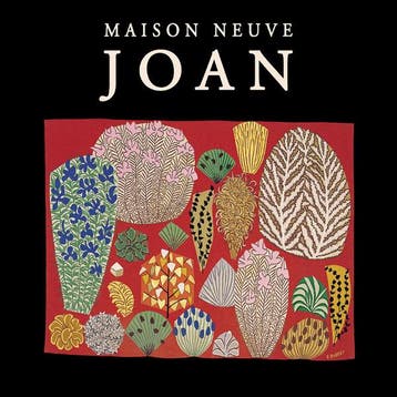 cd card - Maison Neuve - Joan, Verzenden, Zo goed als nieuw, Rock en Metal