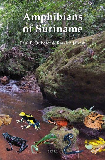 9789004210752 Amphibians of Suriname Paul E. Ouboter, Verzenden, Nieuw, Paul E. Ouboter