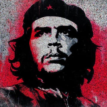 David Law (1967) - Crypto Che Guevara