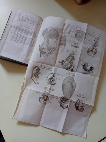 L. M. A. Caldani - Institutiones Anatomicae - 1781