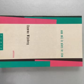 Aan mij is niets te zien / Furie literair / 1 - C. Wijnberg, Verzenden, Gelezen, C. Wijnberg