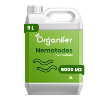 Nematoden - Bodemnematodenconcentraat - 5 L voor 5000 m2, Verzenden, Mest