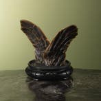 Flippers Zeeschildpad Taxidermie Opgezette Dieren By Max, Verzamelen, Dierenverzamelingen, Ophalen of Verzenden, Nieuw, Reptiel of Amfibie