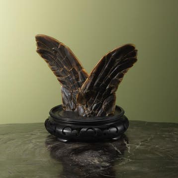 Flippers Zeeschildpad Taxidermie Opgezette Dieren By Max, Ophalen of Verzenden, Nieuw, Reptiel of Amfibie, Opgezet dier