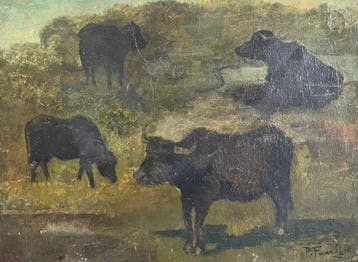 Ruggero Focardi (1864-1934), Attribuito a - Studio di mucche