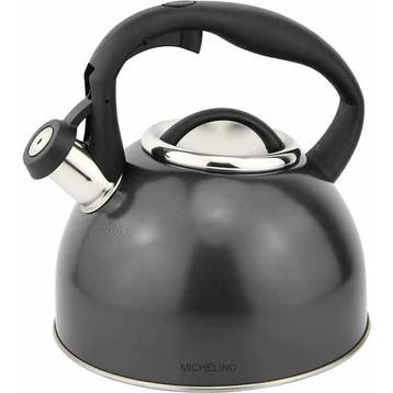 Michelino Fluitketel 2,5 liter - Geschikt voor Inductie -, Verzenden, Nieuw