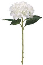 Hortensia Hydrangea Ivoorwit Zijdenbloem 51 cm, Ophalen of Verzenden, Nieuw