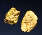 Goud Pepita Australia- 0.37 g - (2)