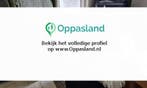 Wesley zoekt een oppas in Nieuwe Wetering., Vacatures