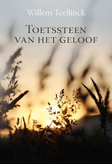 Toetssteen van het geloof - Willem Teellinck 9789087184445, Verzenden, Zo goed als nieuw, Willem Teellinck