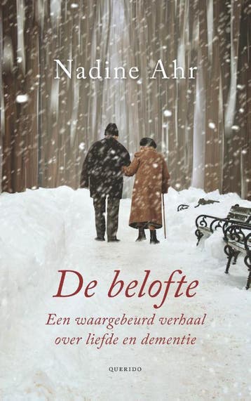 De belofte - Nadine Ahr 9789021456218, Boeken, Verzenden, Gelezen, Nadine Ahr