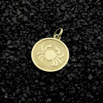 Gouden sterrenbeeld hanger; Kreeft (Hanger of bedel), Ophalen of Verzenden, Gebruikt, Goud, Overige merken