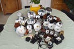 Kodak,Zeiss Ikon,Agfa,Ferrania,Voïgtlander,Cifo,Sem flashs à, Nieuw