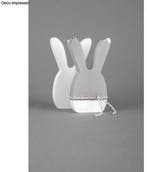 PET mal gietvorm Konijn set, Ophalen of Verzenden, Nieuw