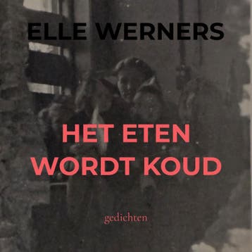Het Eten Wordt Koud | Elle Werners | Nieuw, Ophalen of Verzenden, Nieuw, Elle Werners