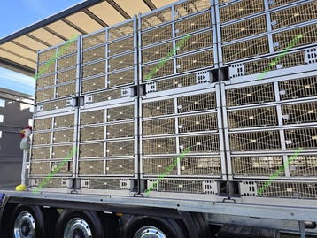 Containers met kippen Palletvork Kippenboxen, Zakelijke goederen, Veehouderij