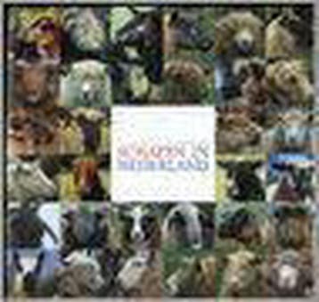 Schapen in Nederland - J. Engelen 9789054390978, Verzenden, Gelezen, J. Engelen