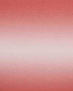 French Terry Digitaal Salmon, Nieuw, Overige kleuren