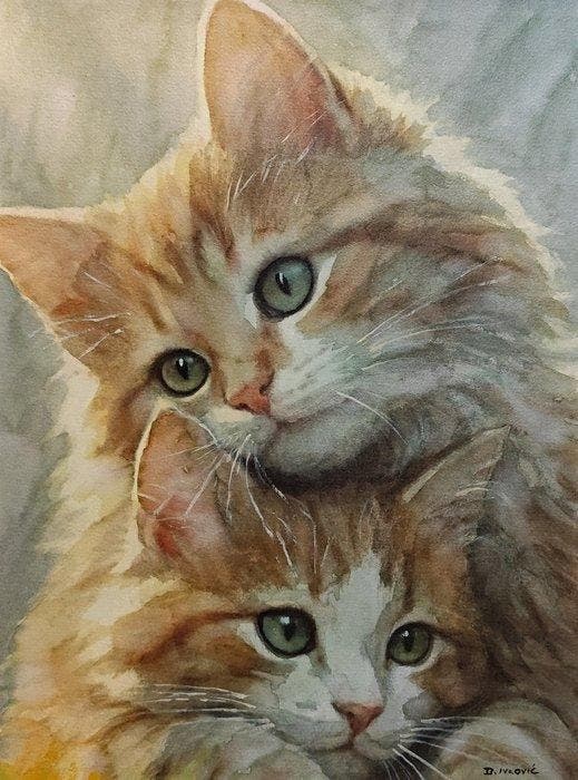 Davor Ivkovi (1965) - Cats, Antiek en Kunst, Kunst | Schilderijen | Klassiek