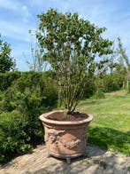 Tuinvaas en bloempotten in meerdere kleuren Laagste prijs!, Tuin en Terras, Ophalen of Verzenden, Nieuw