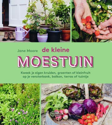 De Kleine Moestuin | Jane Moore | Nieuw, Ophalen of Verzenden, Nieuw, Jane Moore