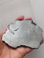 Saint-Aubin-meteoriet, Widmanstätten-lijn. Mooie inclusie, Verzamelen