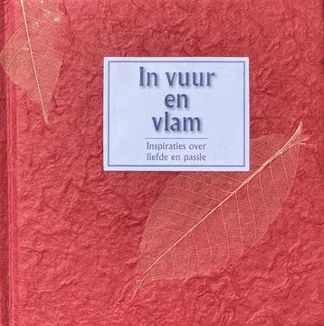 In Vuur En Vlam - Mikkers, Boeken, Verzenden, Gelezen