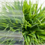 Polycarbonaat golfplaat | 76/18 | 0,9 mm | Glashelder, Doe-het-zelf en Verbouw, Platen en Panelen, Verzenden, Nieuw, Overige materialen
