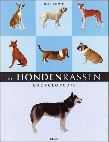 HONDENRASSENENCYCLOPEDIE - Joan Palmer 9789057644788, Verzenden, Gelezen, Joan Palmer