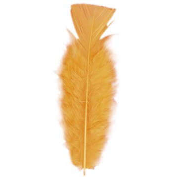 50x Sierveren oranje hobby materiaal 17 cm - Decoratie veren, Verzenden, Nieuw