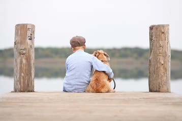 Setter verzekeren? Voorkom hoge dierenartskosten, Dieren en Toebehoren, Nederland, Handelaar, 8 tot 15 weken, Meerdere
