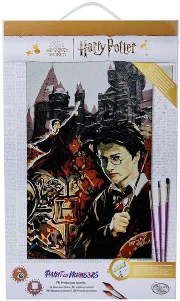 Harry Potter schilderen op nummer c van €18,99 voor €17,09, Ophalen of Verzenden, Nieuw