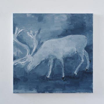 Matthieu van Riel - Reindeer