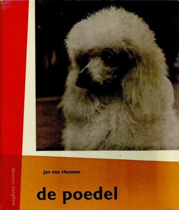 Poedel - Rheenen 9789003967602, Boeken, Verzenden, Gelezen, Rheenen