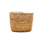 Green Bubble - Scott - D25 x H25, Tuin en Terras, Ophalen of Verzenden, Nieuw