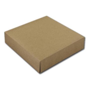 Taartdoos 21x21x5cm. Kraft 50st, Verzenden, Nieuw