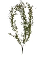 Bamboehanger Vertakt 85 cm per stuk, Ophalen of Verzenden, Nieuw